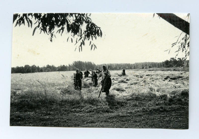 Kihnu women in the Hain Country