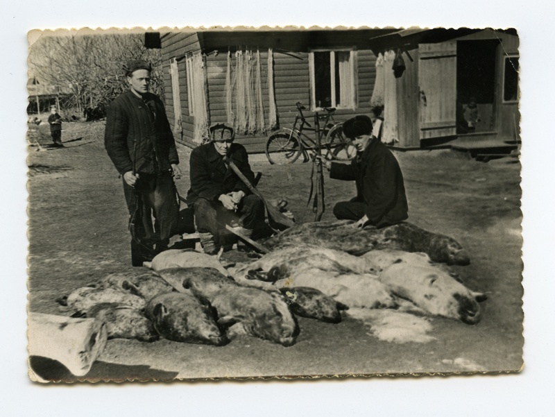 Seal hunters in Kihnus, Lina village, Nada farm at the yard : Mihkel Larents, Nikolai Leas, Mihkel Oad