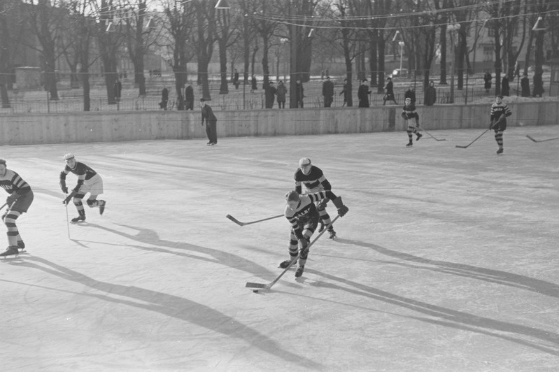 Eesti meistrivõistlused jäähokis 1950