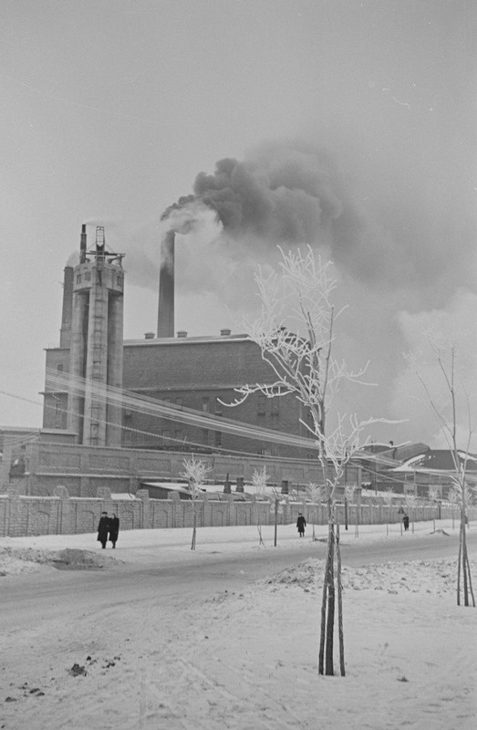 Viktor Kingissepa nimeline Tallinna tselluloosi- ja paberikombinaat