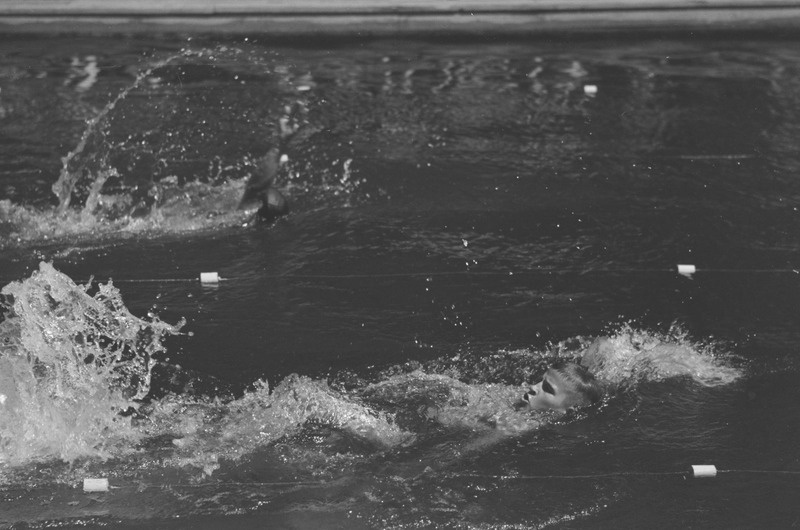 Eesti koolinoorte meistrivõistlused ujumises 1950