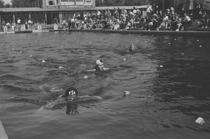 Eesti koolinoorte meistrivõistlused ujumises 1950