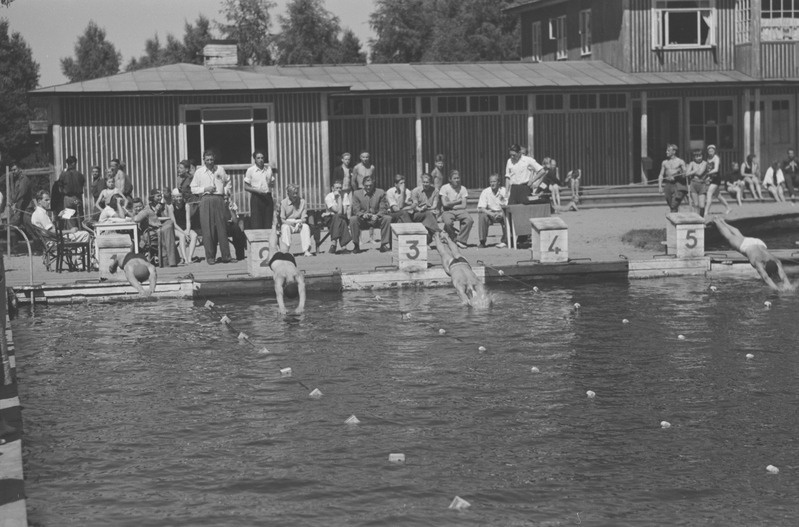 Eesti koolinoorte meistrivõistlused ujumises 1950