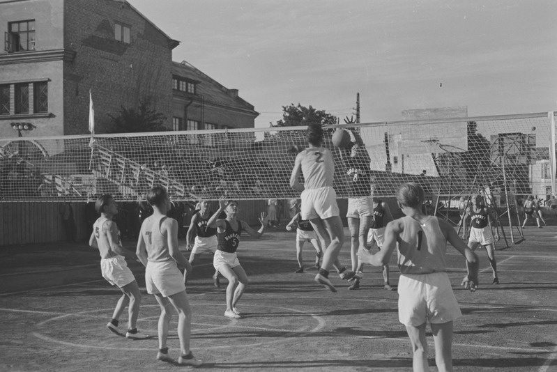 Eesti koolinoorte meistrivõistlused võrkpallis 1950