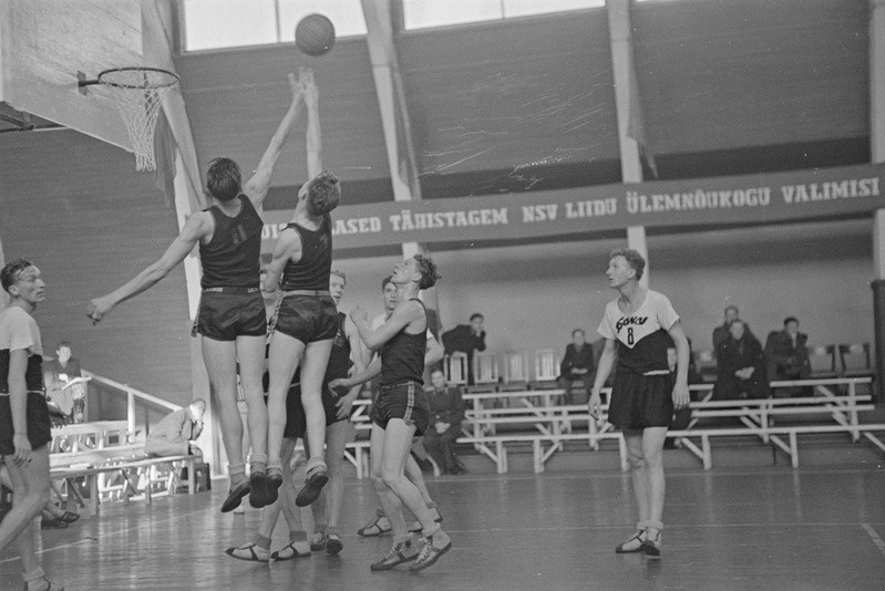 8 linna korvpall