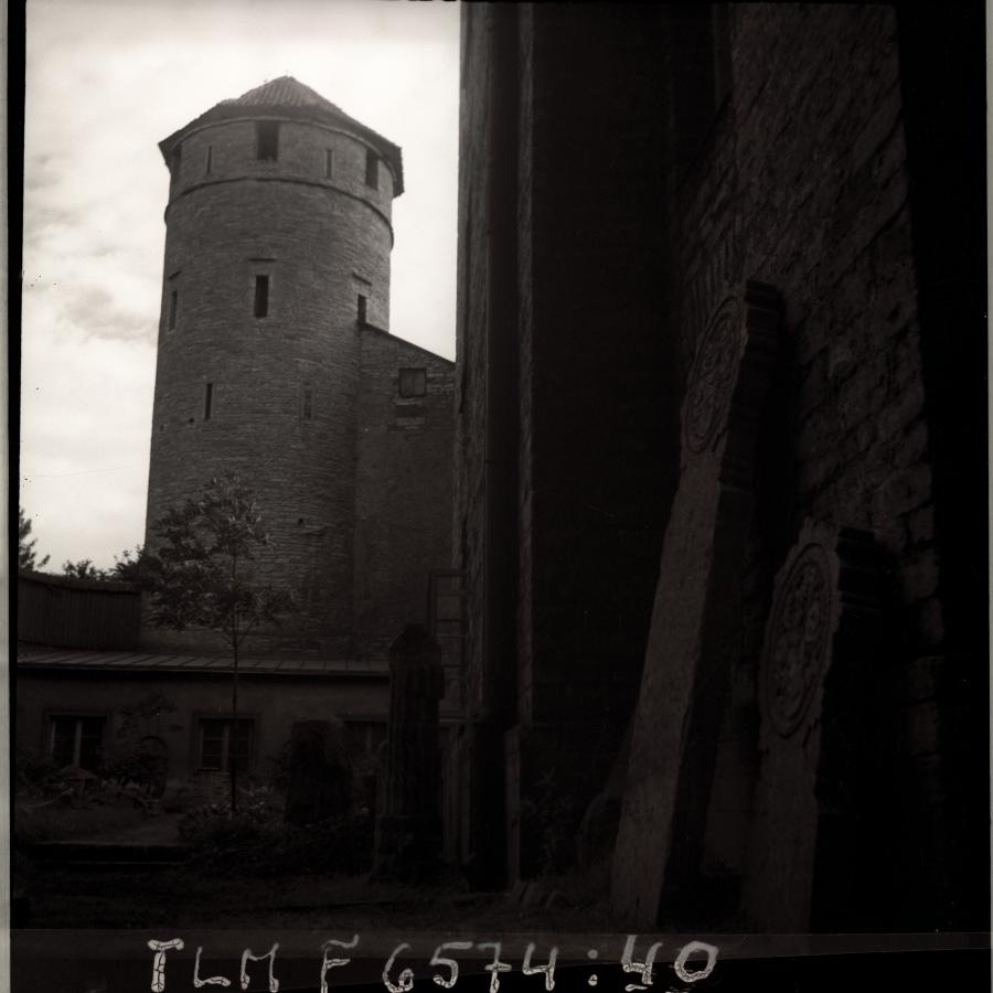 The garden of Tallinn City Museum, in the background Stolting Tower.