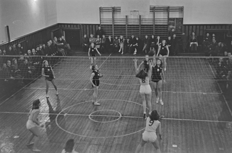 Võrkpall Kalev-Dünamo