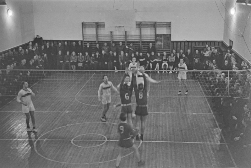 Võrkpall TPI-Dünamo II