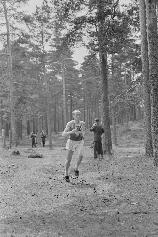 Eesti meistrivõistlused murdmaajooksus 1951