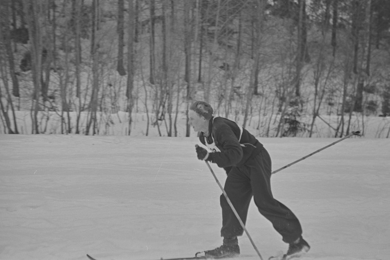 Kolhoosinoorte meistrivõistlused suusatamises 1951