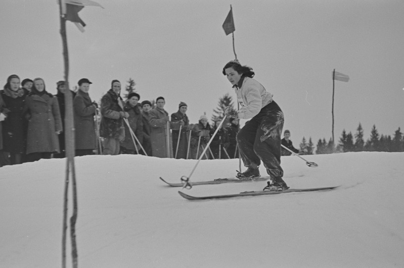 Kolhoosinoorte meistrivõistlused mäesuusatamises 1951