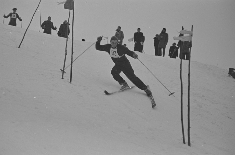 Kolhoosinoorte meistrivõistlused mäesuusatamises 1951
