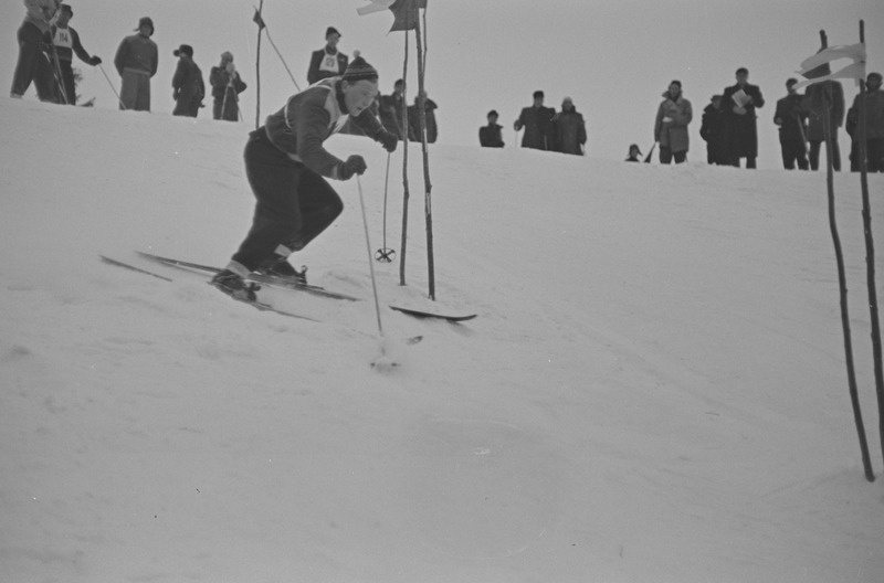 Kolhoosinoorte meistrivõistlused mäesuusatamises 1951