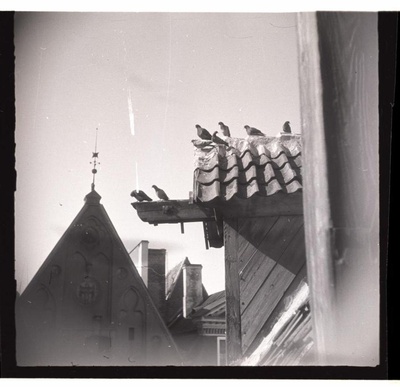 On the roof of Tallinn, Pakk Building and the former Bishop House.  similar photo