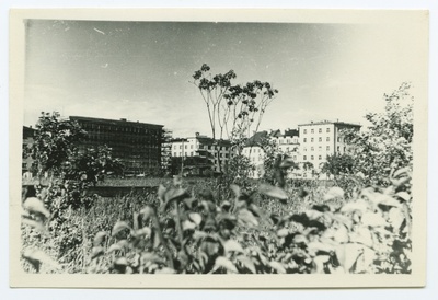 Tallinn, Pionier Square.  similar photo