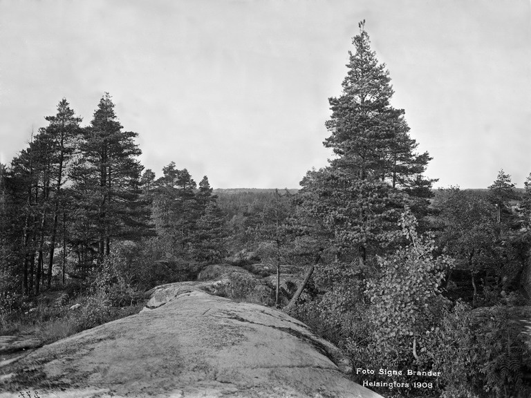 Näköala Alppilan vesisäiliön luota koilliseen.