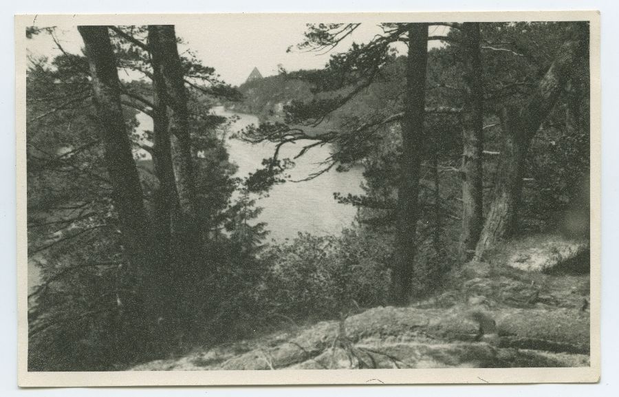 View from Kose-Lukatti to the river Pirita and the ruins of the monastery.