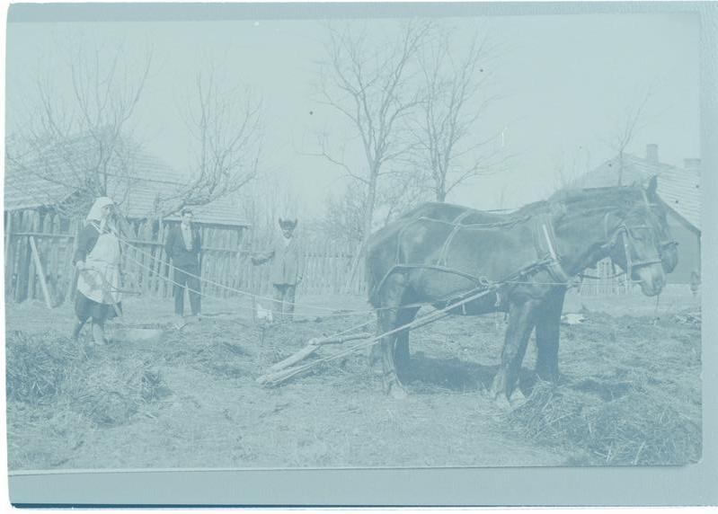 Naine kündmas maad kahe hobusega koolimaja lähedal Koorküla vallas 24.04.1930