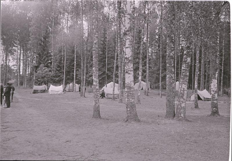 Vaade suvepäevaliste telklaagrile metsa ääres.