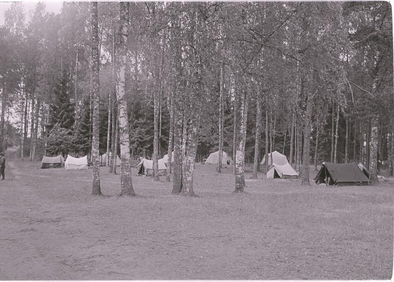 Vaade suvepäevaliste telklaagrile metsa ääres.