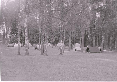 Vaade suvepäevaliste telklaagrile metsa ääres.  similar photo