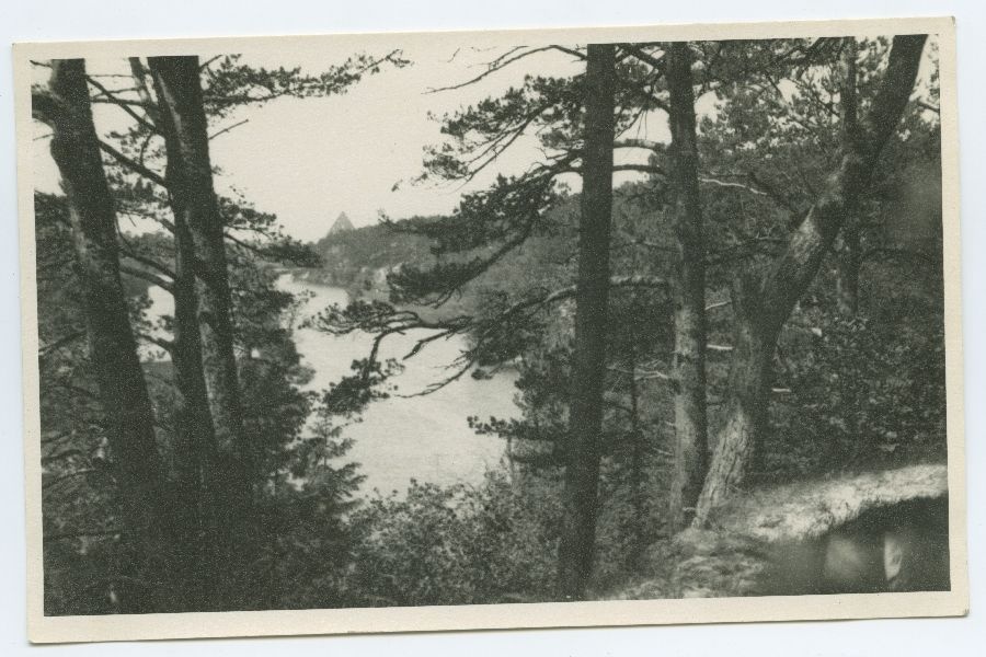 View from Kose-Lukatti to the river Pirita and the ruins of the monastery.