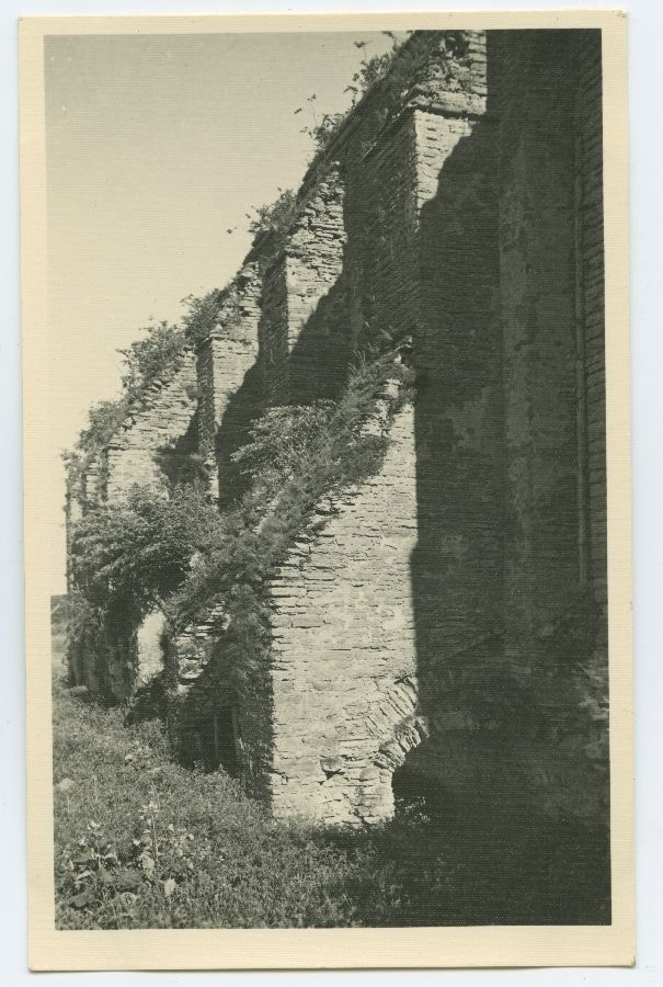 The ruins of the Pirita monastery, the northern wall of the church from outside.
