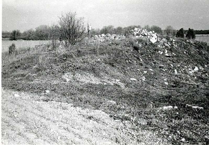 Suurvare kivikalme Abula külas