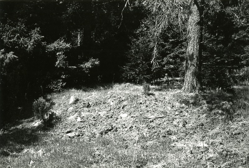 Kivikalme Kuremetsa külas