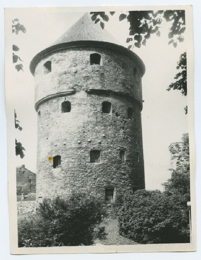 Tallinn, view artillery tower Kiek-in-de-Köki by Harjumäe.
