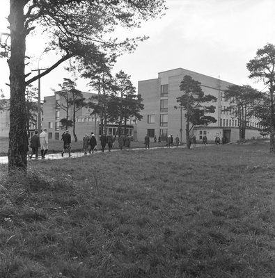 TPI uued õppekorpused - II, III ja IV korpus, 1968.a.  similar photo