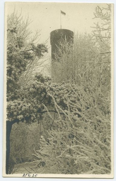 Pikk Hermann talvel.