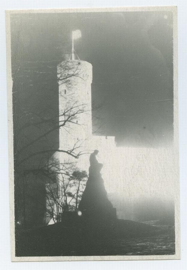 Tallinn, Pikk Hermann, vaade Lindamäelt.