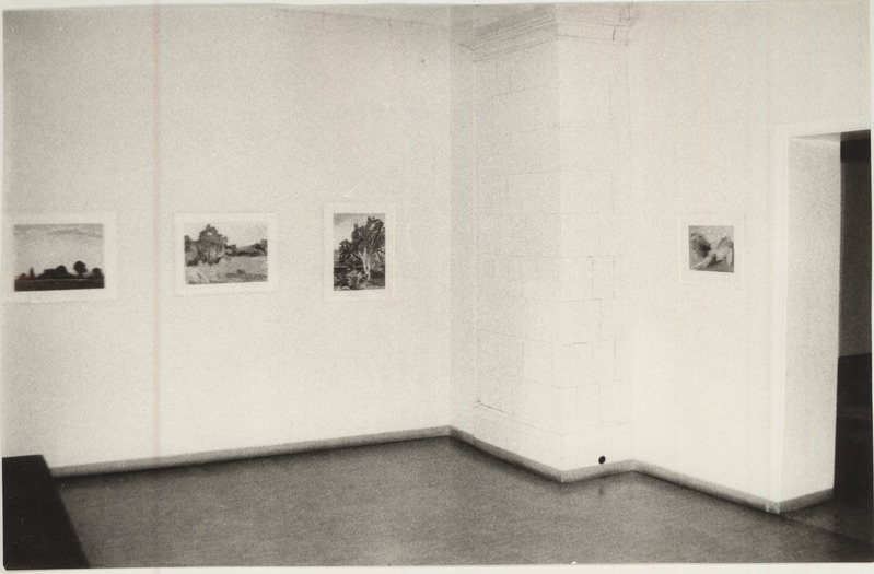 Vaade Silvia Jõgeveri näitusele TKM-is veebr. - apr. 1993