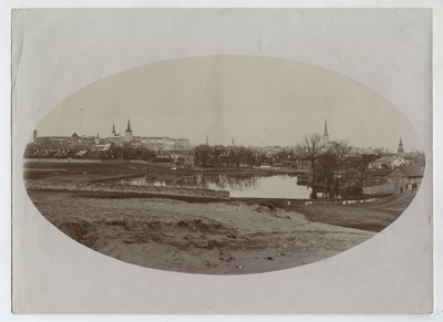 Tiigiveski paistiik - vaade kagust,  taga Tallinna panoraam.  duplicate photo