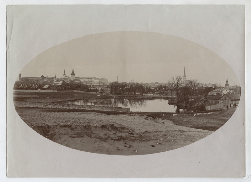 Tiigiveski paistiik - vaade kagust,  taga Tallinna panoraam.