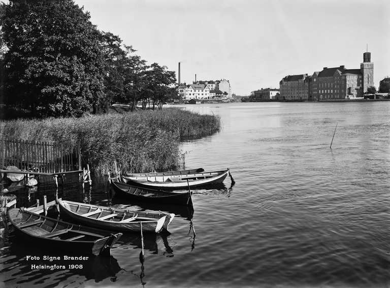 Eläintarhanlahden pohjoisranta