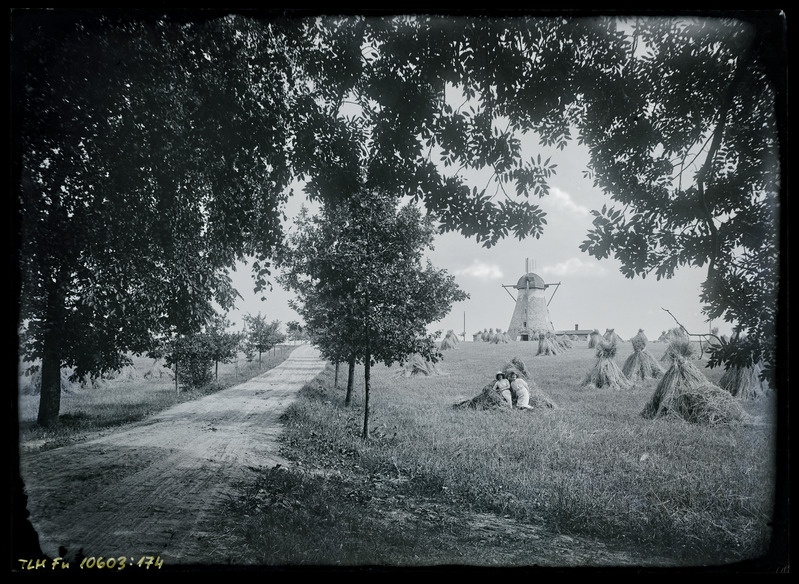 Kaksikportree: kaks naist heinamaal, taustal tuulik