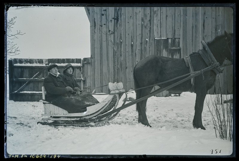 Naine ja mees hobusaanis