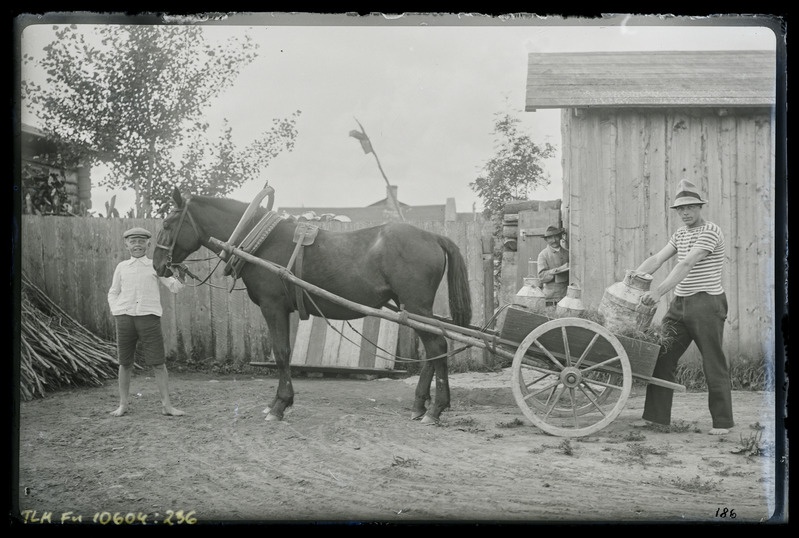 Grupipilt: 3 meest talus hobuvankriga