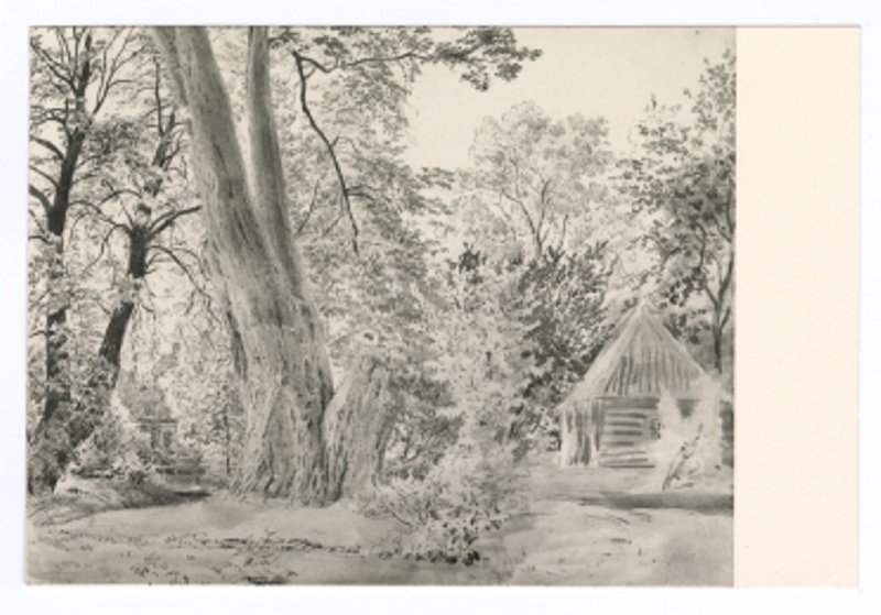 Audru kirikumõisa pargis