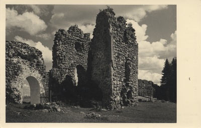 Estonia : Karksi castle roofs /  duplicate photo