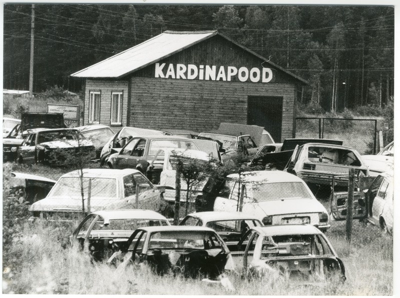 Foto. Kardinapood Lodjal