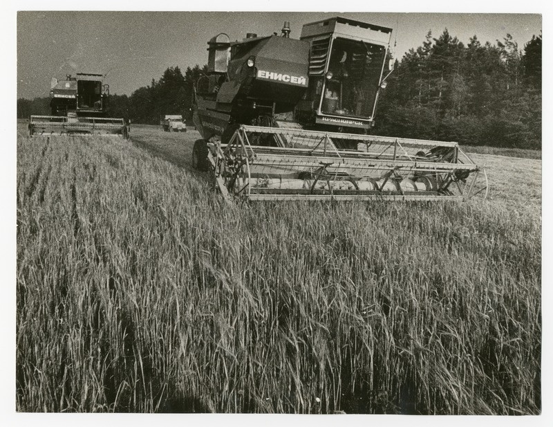 Foto. Häädemeeste kolhoosi kombainid