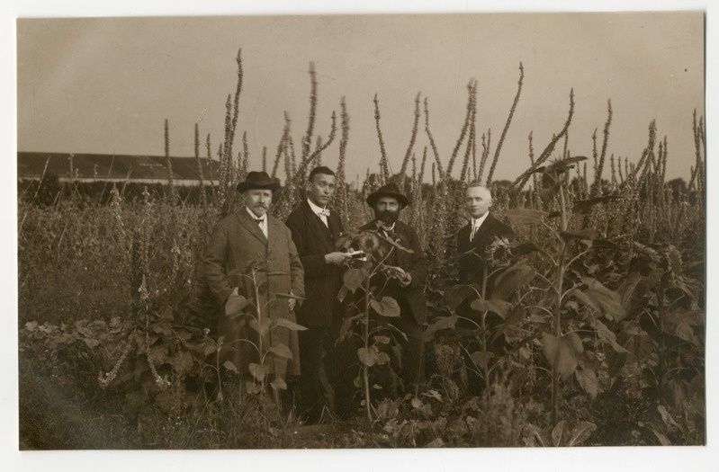 Foto albumis. Apteekrid Tartus