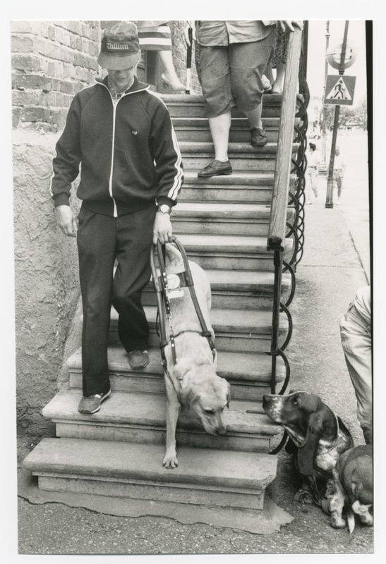 Foto.Labradori retriiver Juksi ja tema peremees Tõnis Rattik Ringi tn 1 trepil.