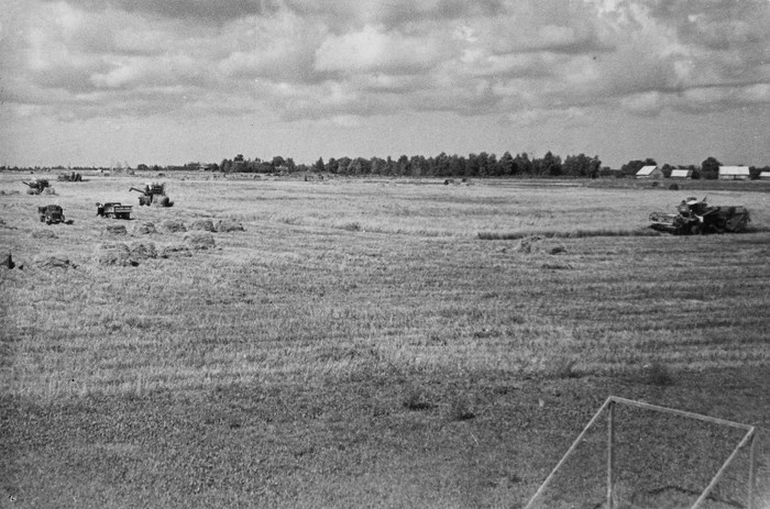 Viljakoristus Sõpruse kolhoosis