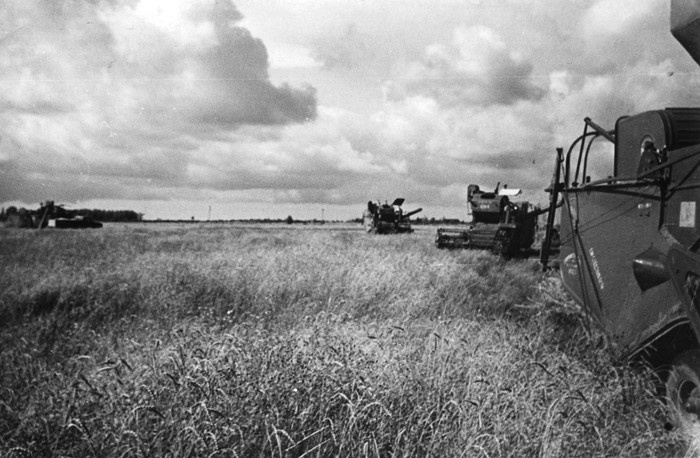 Viljakoristus Sõpruse kolhoosis