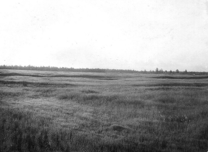 Sõpruse rukkipõld Raval