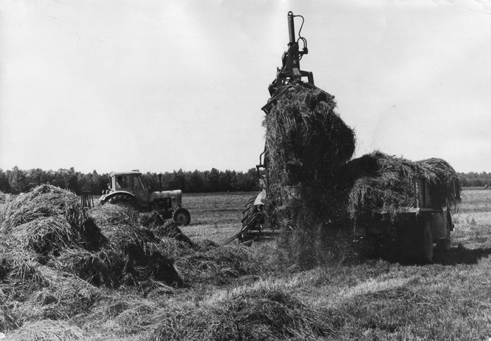 Sõpruse kolhoosis kuivsilo valmistamine